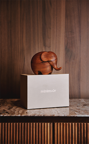 Minimoor Introduction